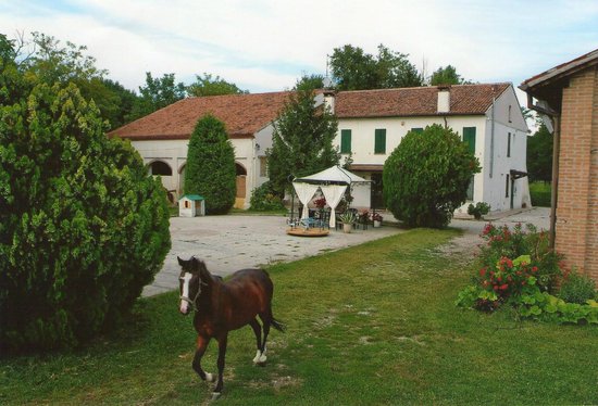 Agriturismo Loghino Caselle