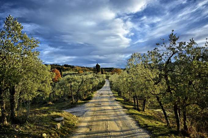 vigneti nel chianti