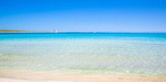 spiaggia di stintino in sardegna