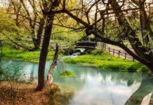 cosa vedere nel parco nazionale d'abruzzo e come arrivare