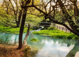 cosa vedere nel parco nazionale d'abruzzo e come arrivare