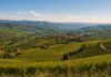 panorama di Alba in Piemonte nelle langhe