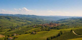 panorama di Alba in Piemonte nelle langhe